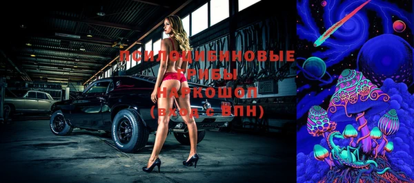 дурь Алзамай