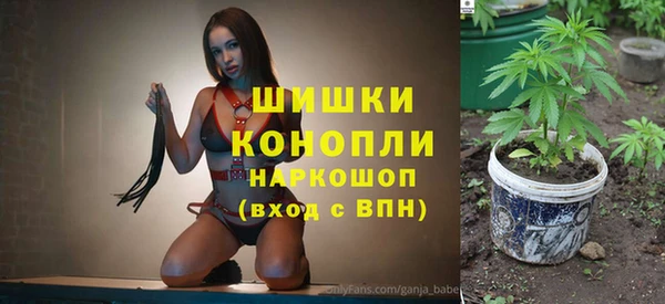 дурь Алзамай