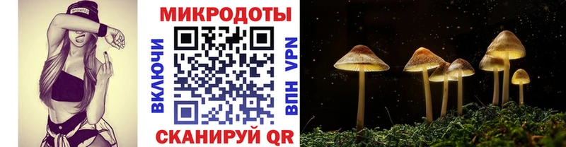 Псилоцибиновые грибы прущие грибы  Сургут 