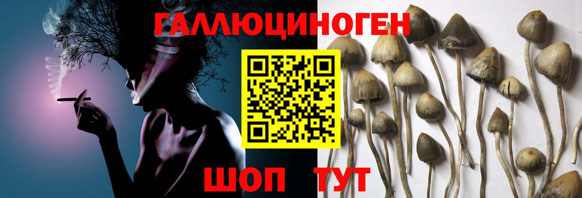 Псилоцибиновые грибы ЛСД Сургут